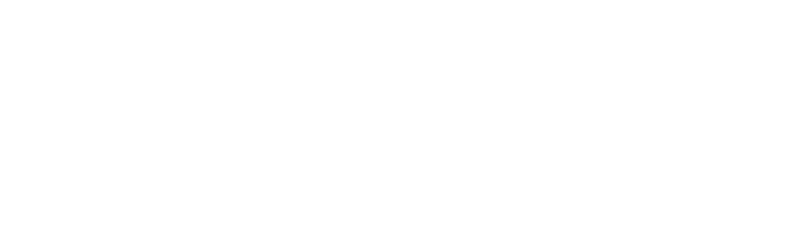 Opzio